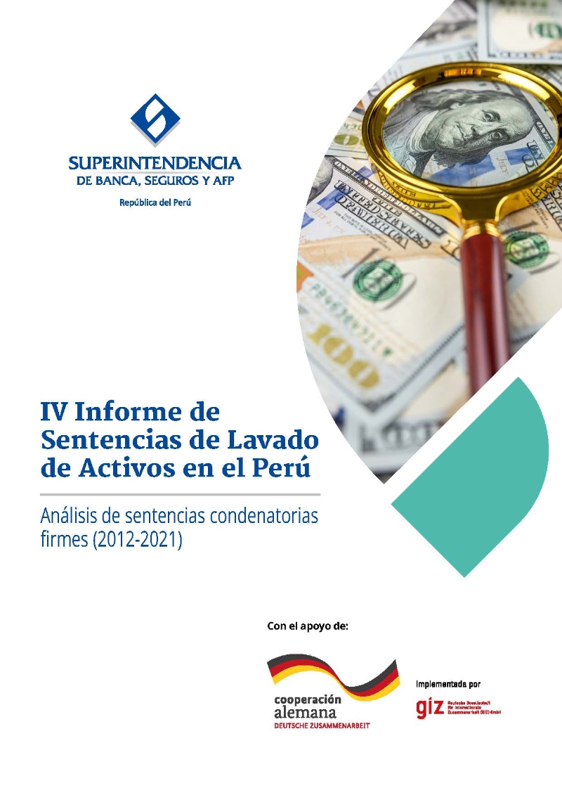 IV Informe de Sentencias